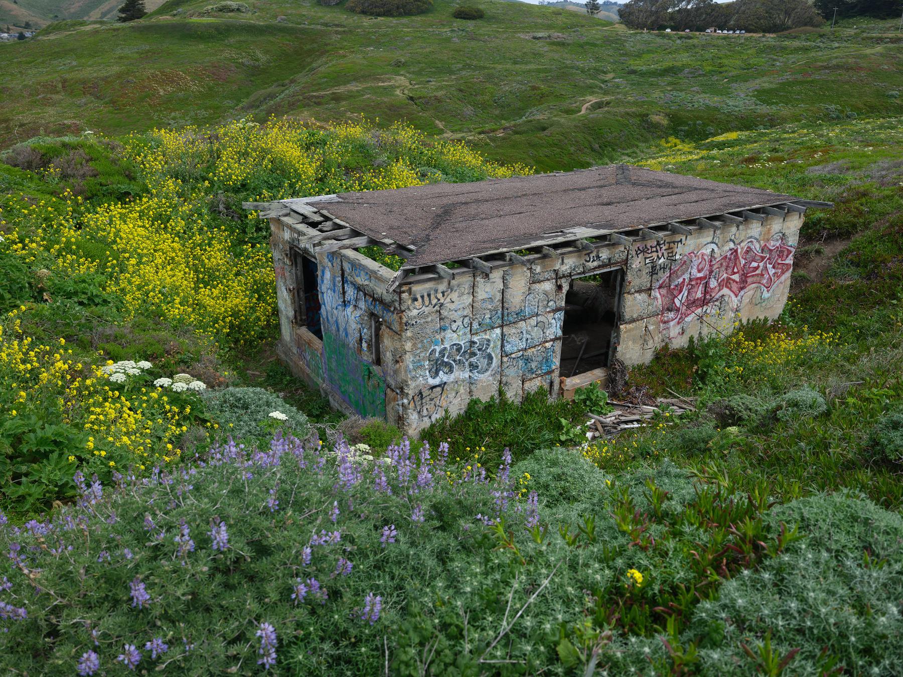 Dilapidated concrete building surrounded by rolling green with yellow flowers